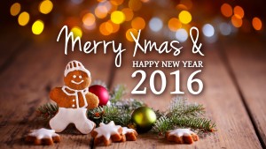 merry-christmas-2016-25